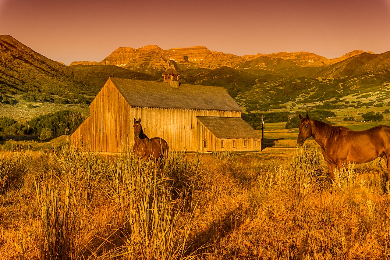 How to start homesteading in Utah | Hello Homestead