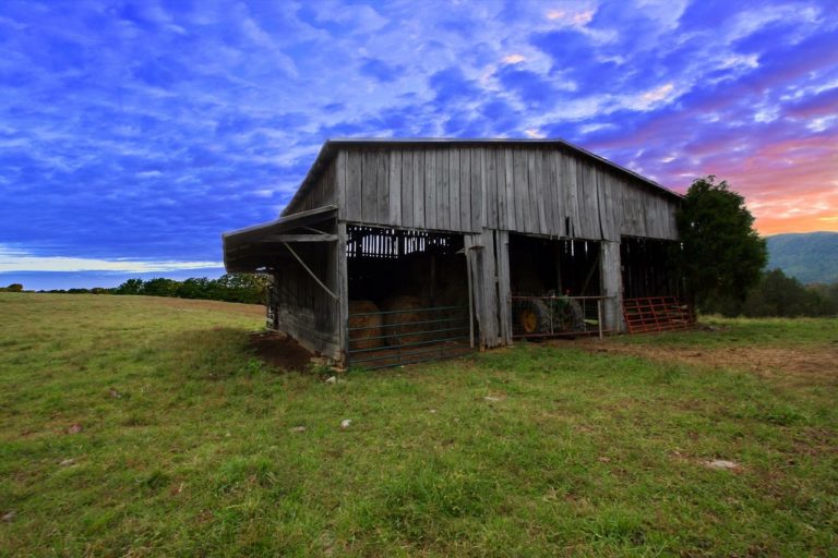How to start homesteading in Tennessee Hello Homestead