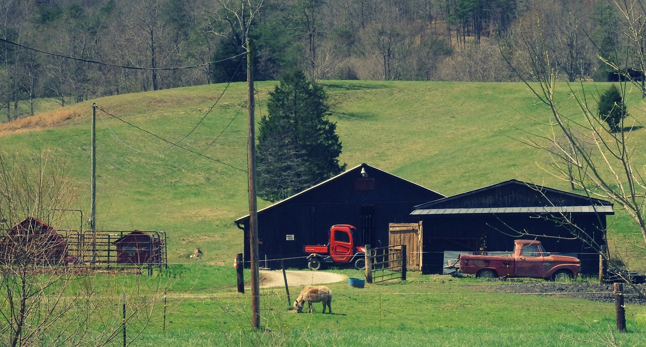 How to start homesteading in West Virginia Hello Homestead