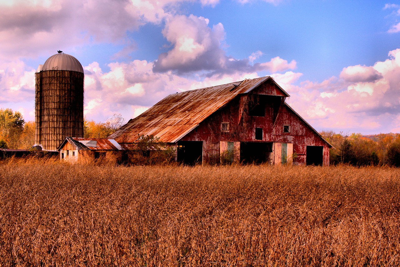 How to start homesteading in Tennessee | Hello Homestead