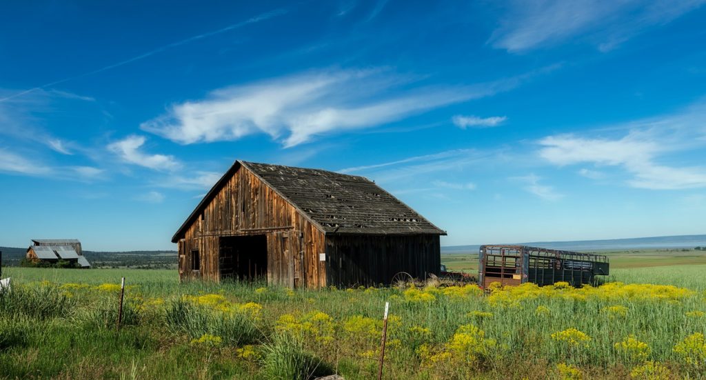 What Is Homesteading In California