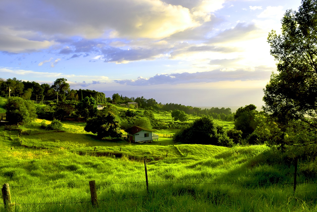 How to start homesteading in Hawaii Hello Homestead