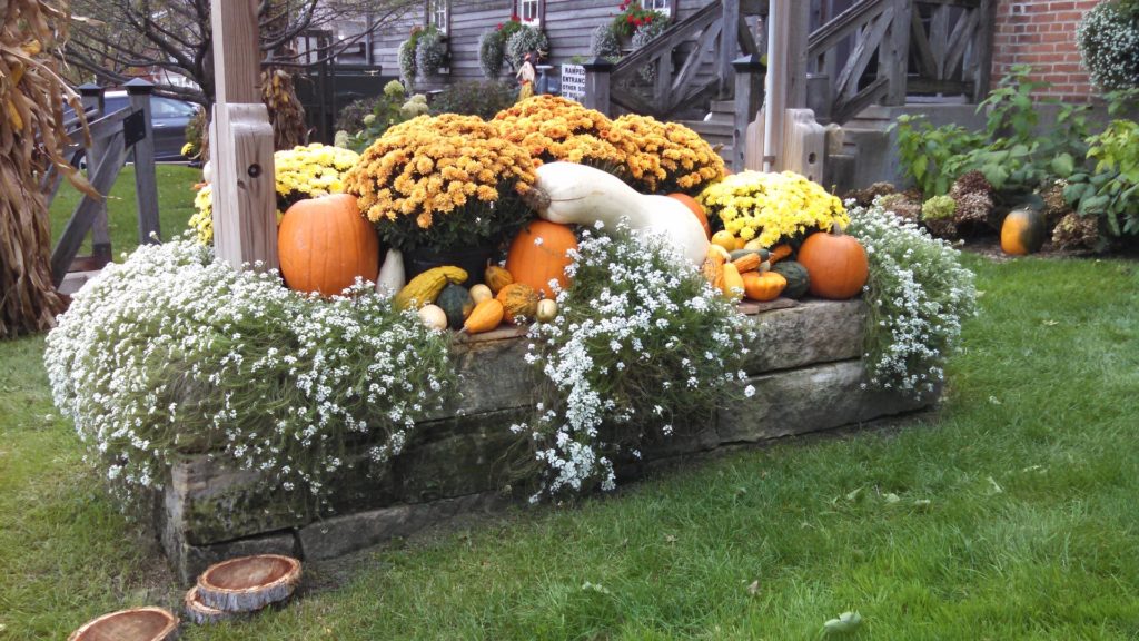 Ripe pumpkins and other gourds displayed on a raised wooden bed with fresh flowers.