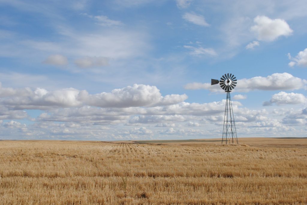 A farm wind turbine in a field of ripe grain.