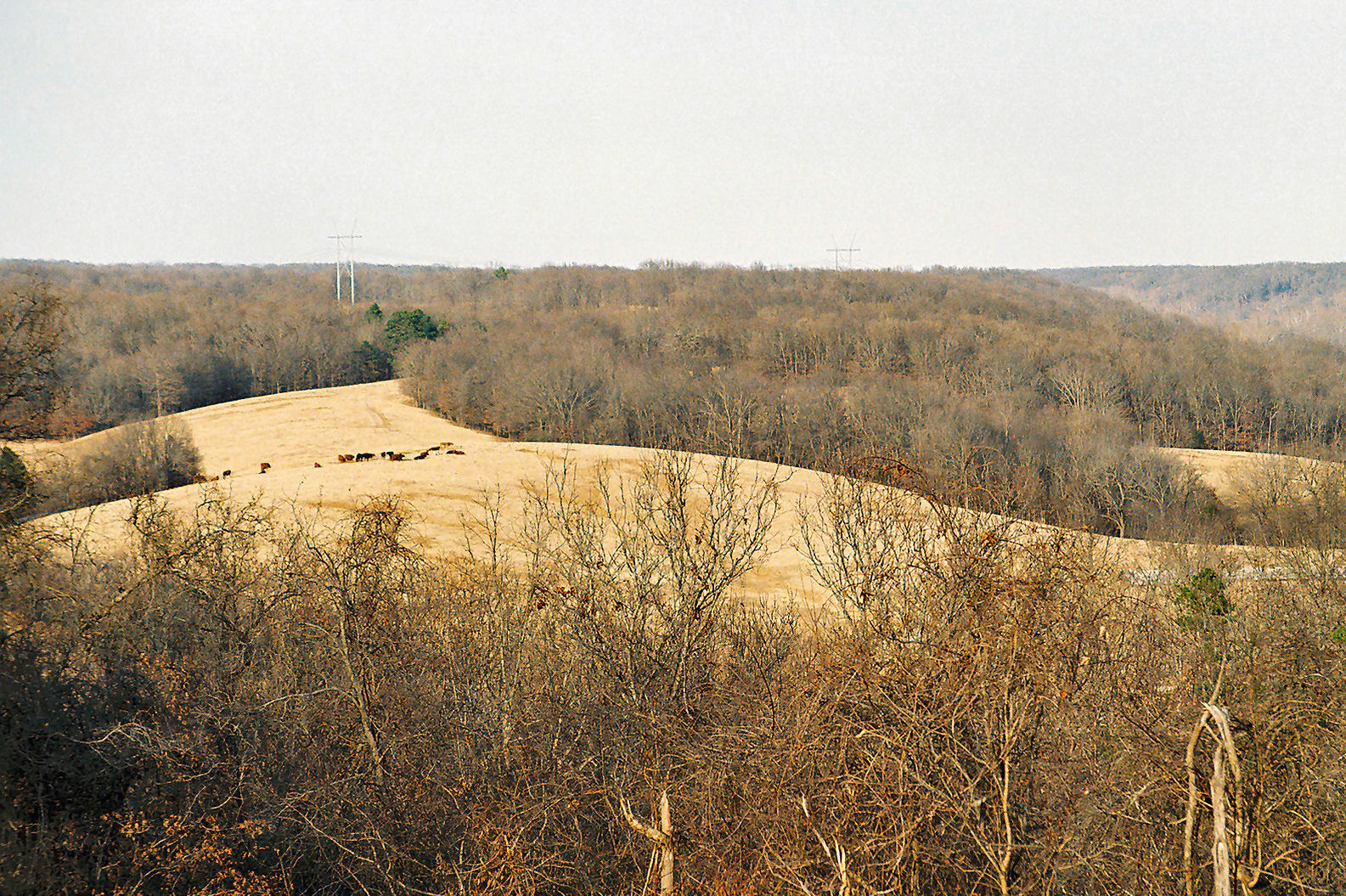How to start homesteading in Oklahoma Hello Homestead