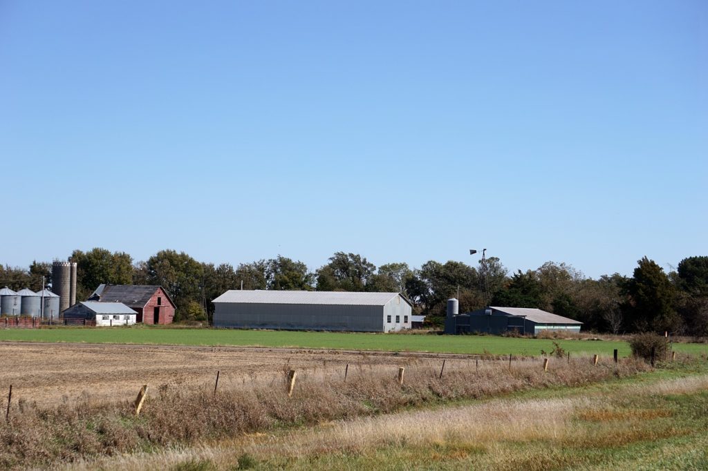 Farmer K Homestead