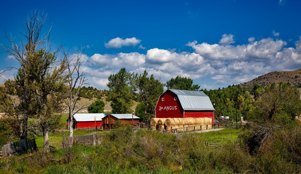 A red barn with a red outbuilding plus natural wood-sided outbuilding. Round bales of hay in front of the barn.