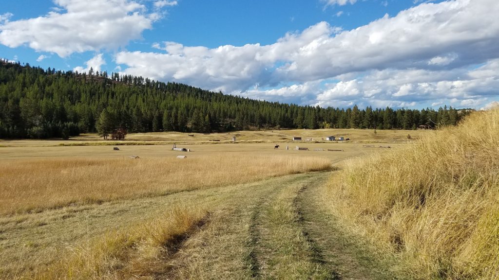 How to start homesteading in Montana Hello Homestead