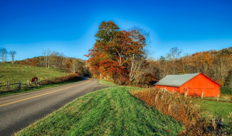 How to start homesteading in North Carolina  Hello Homestead