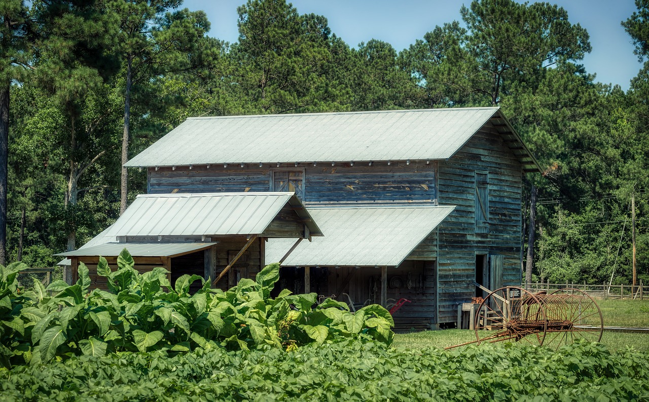 How to start homesteading in South Carolina Hello Homestead