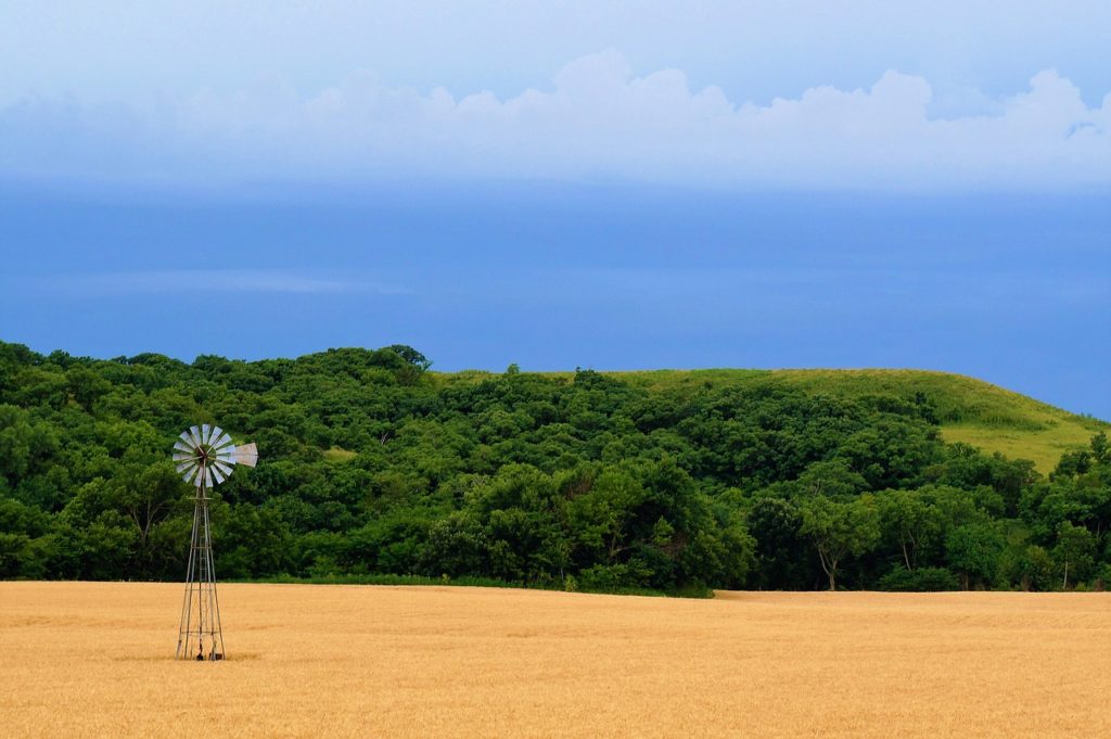 From the Land of Kansas