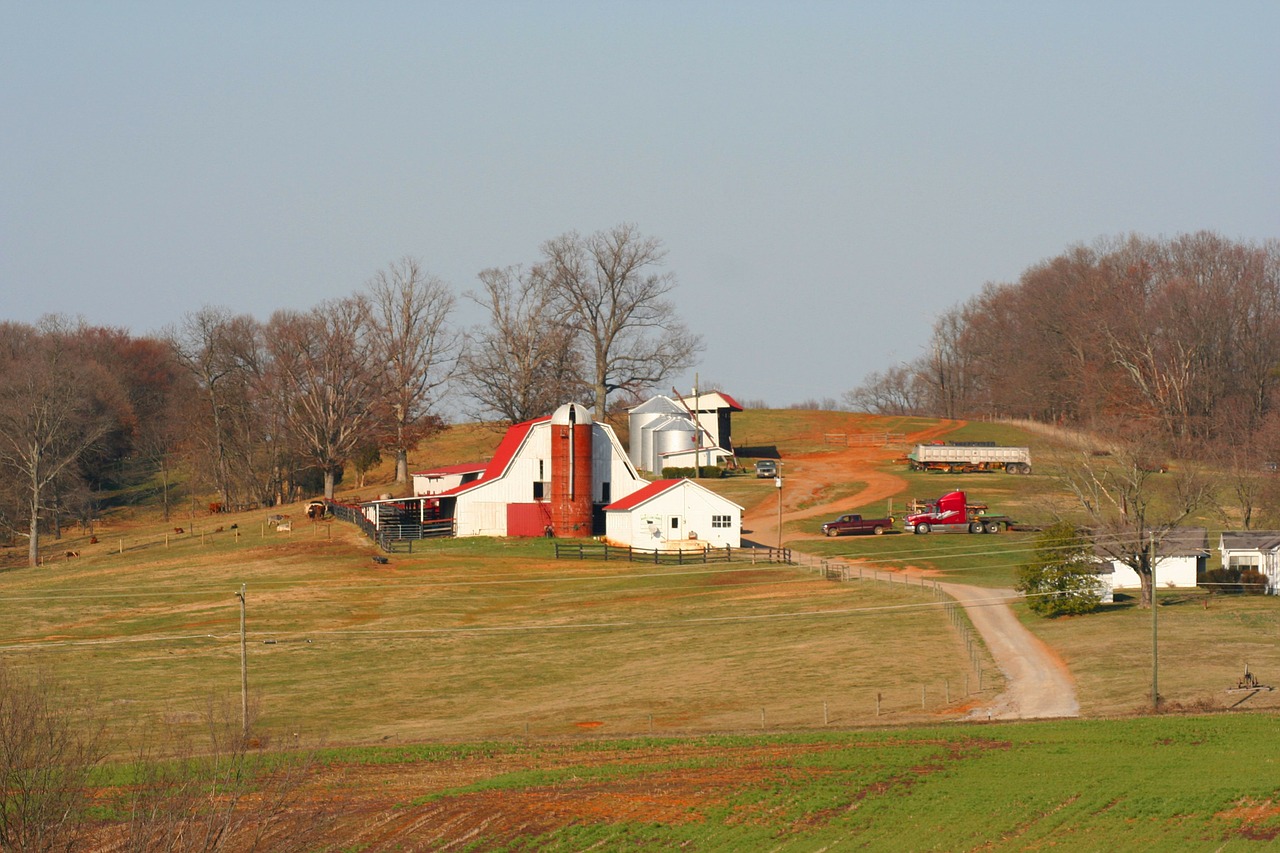 How to start homesteading in Tennessee Hello Homestead