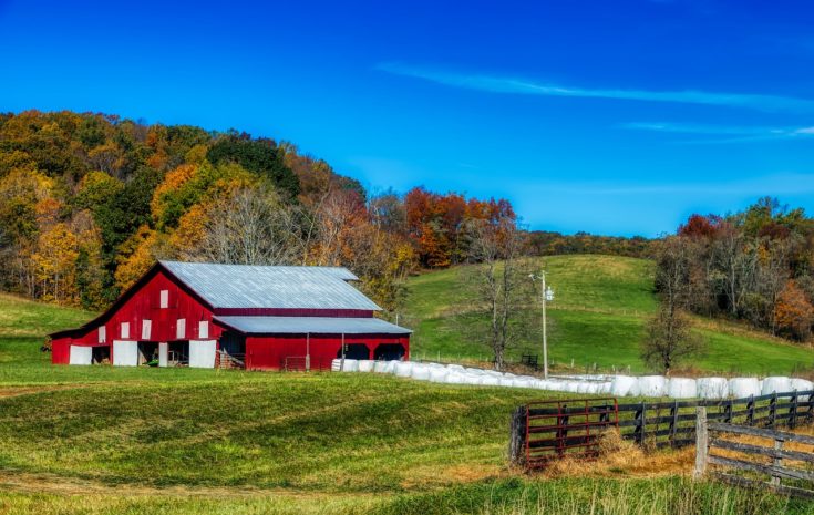 How to start homesteading in West Virginia | Hello Homestead