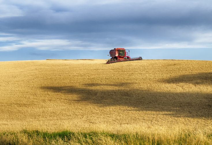 How to start homesteading in Idaho | Hello Homestead