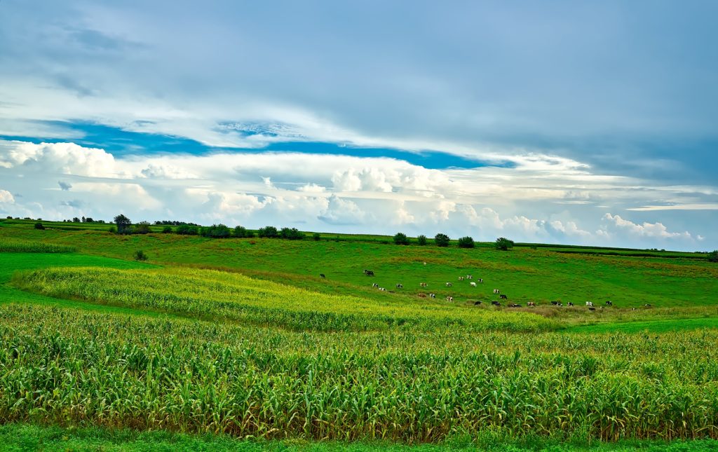 How to start homesteading in Wisconsin | Hello Homestead