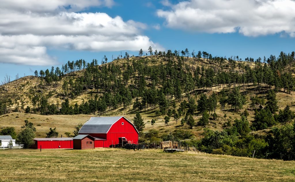 A red barn and outbuildings in front of hills covered in grass and evergreen trees.