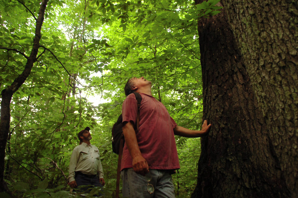 What Does Soil Carbon Sequestration Mean